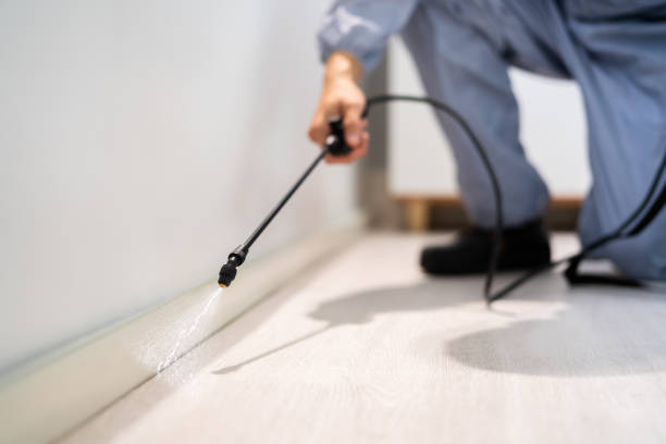 Professional exterminator conducting IPM assessment in Grand Junction